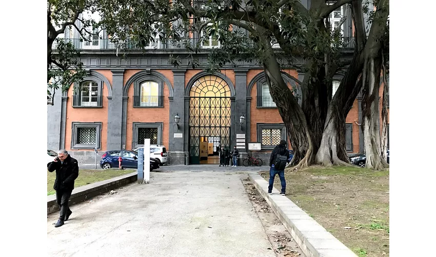 Biblioteca Nazionale di Napoli Vittorio Emanuele III