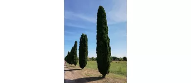 Villa dei Sette Bassi - Parco Archeologico dell'Appia Antica
