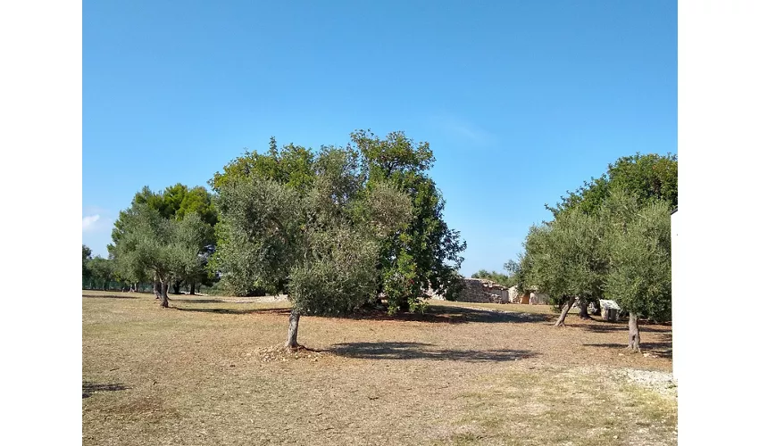 Dolmen di San Silvestro