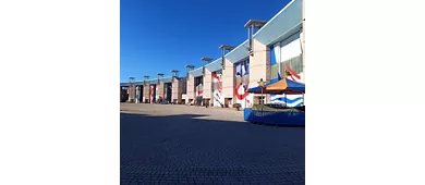 Fondazione Carnevale Di Viareggio