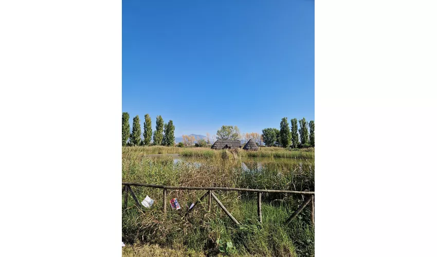 Parco Archeologico Naturalistico di Longola