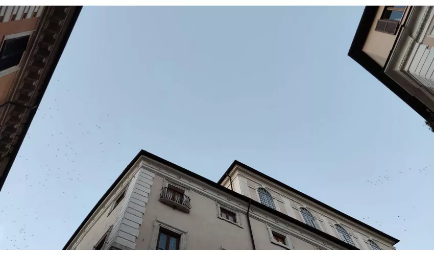 Palazzo Patrizi Clementi
