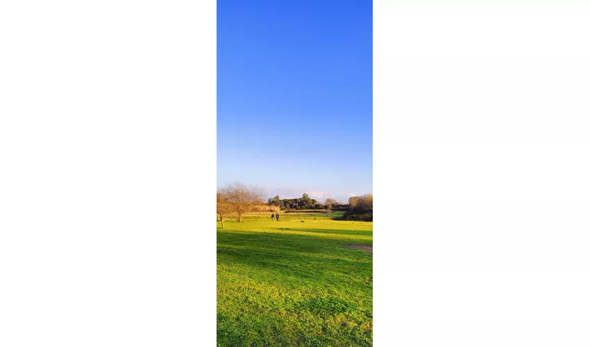 Appia Antica Regional Park