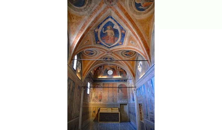 Palazzo dei Pio/Museo Della Città