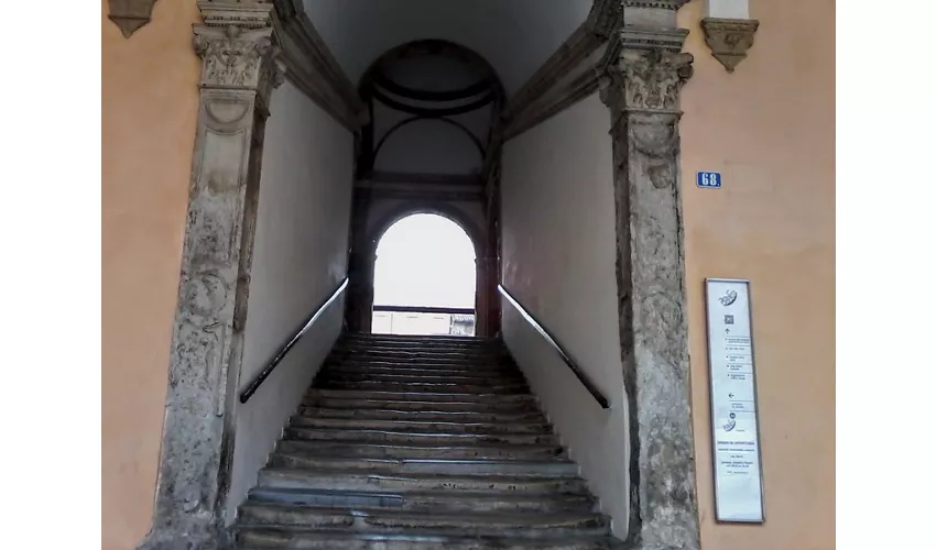 Palazzo dei Pio/Museo Della Città