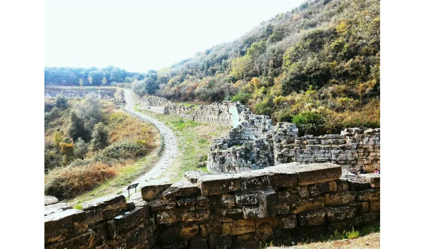 Parco Archeologico Castiglione di Paludi