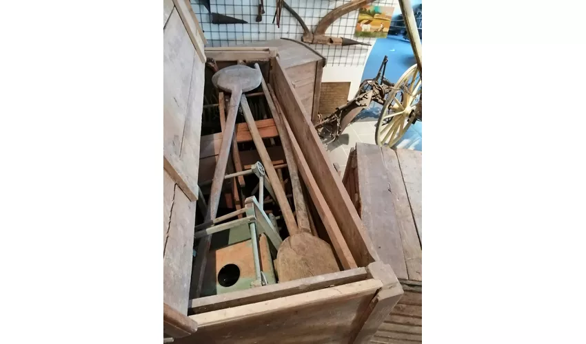 Museo civico Archeologico