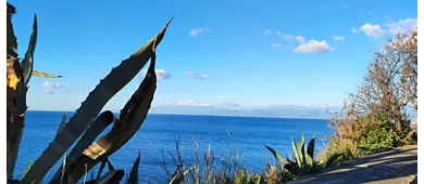 Faro Di Capo D'armi