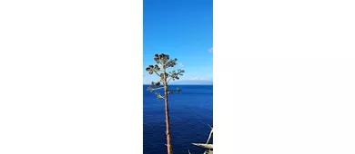 Faro Di Capo D'armi