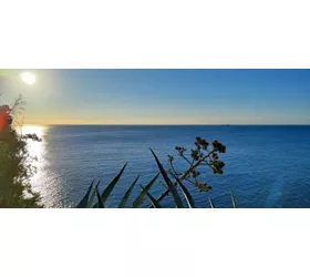 Infiorata di Motta San Giovanni