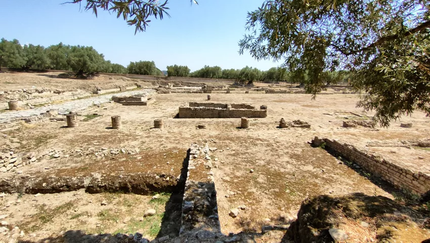 Museo e Parco archeologico nazionale di Scolacium