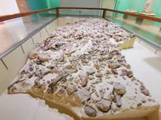 Museo Nazionale del Paleolitico