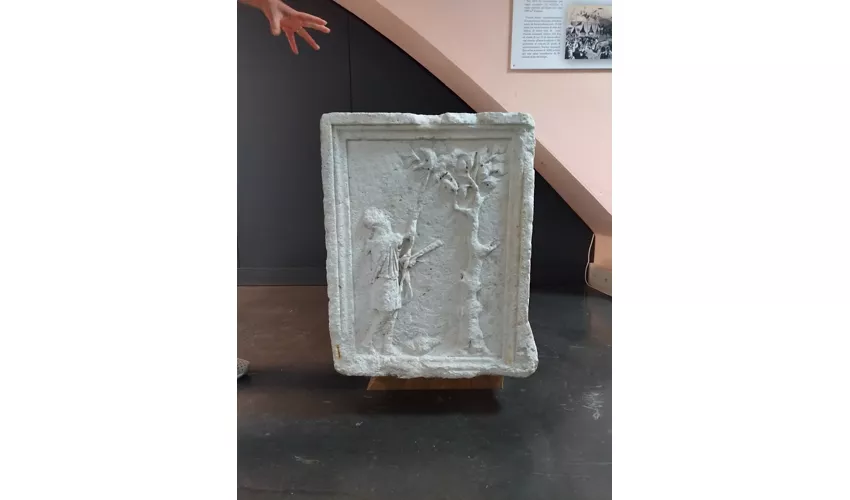 Nuovo museo Paludi di Celano - Centro di restauro
