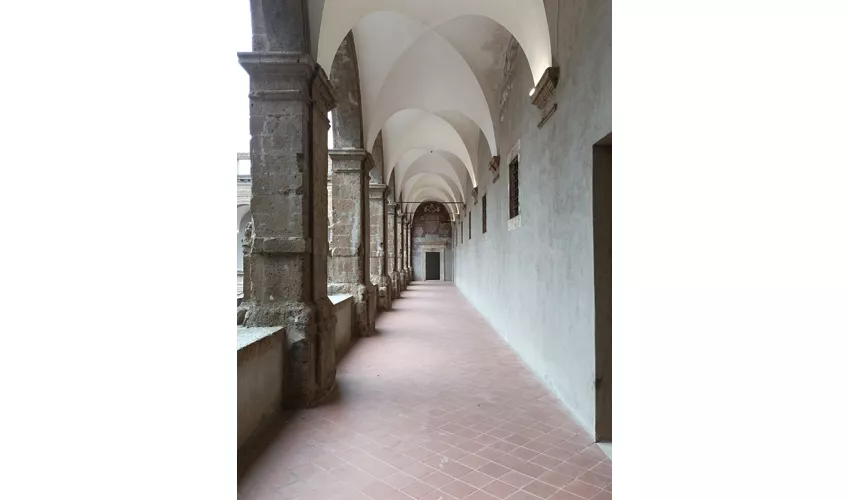Museo Archeologico dell' Agro Falisco