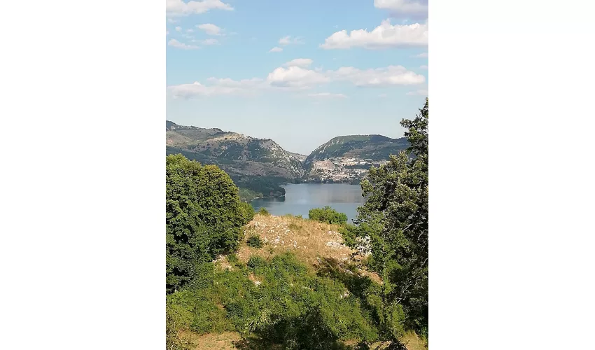 Wolfs-Besucherzentrum