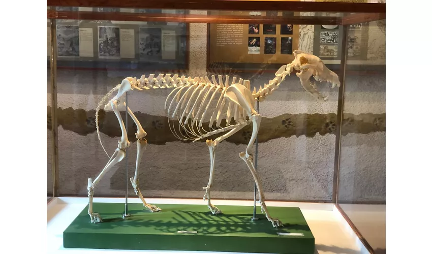 Wolfs-Besucherzentrum