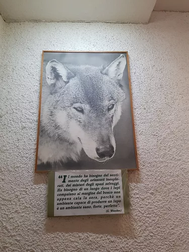 Centro de Visitantes del Lobo