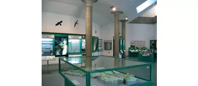 Museo Naturalistico-Archeologico e Giardino Botanico