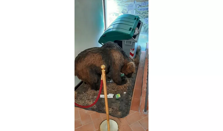 MOM-Museu do Urso Marsicano
