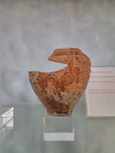 Museo Archeologico "Romualdi"