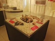 Museo delle Antiche Genti di Lucania