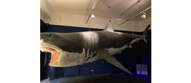 Museo Civico di Storia Naturale