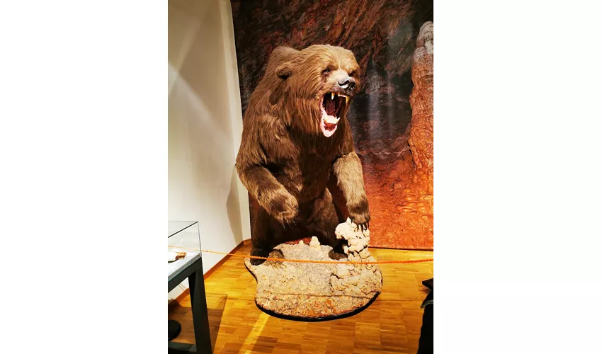Museo Civico di Storia Naturale