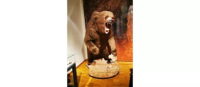 Museo Civico di Storia Naturale