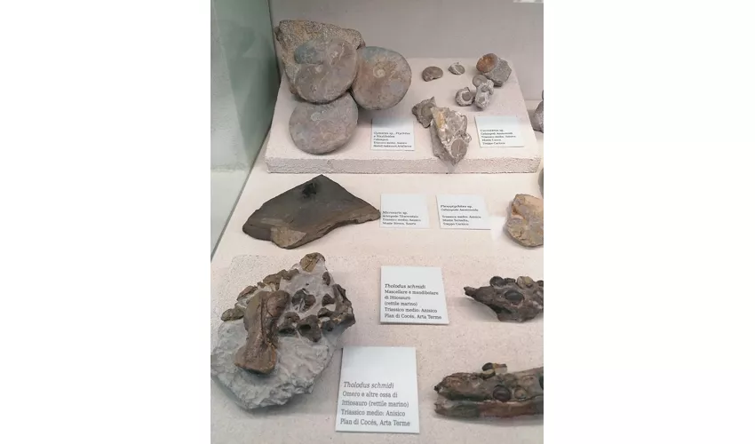 Museo Geologico della Carnia