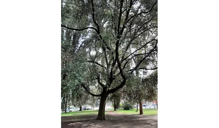 Parco della Rimembranza