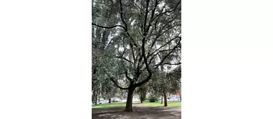 Parco della Rimembranza