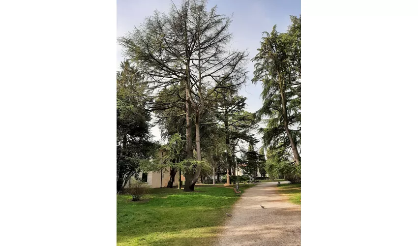 Parco della Rimembranza