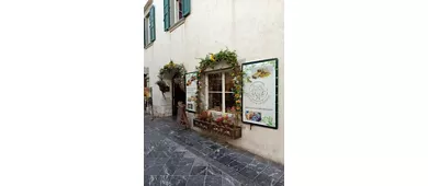 Museo "Tiere Motus"
