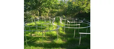 Art Park