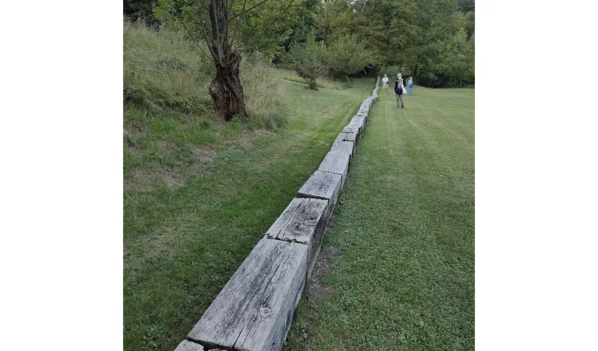 Art Park