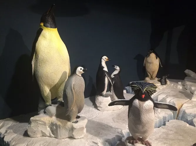 Museo Nazionale dell'Antartide