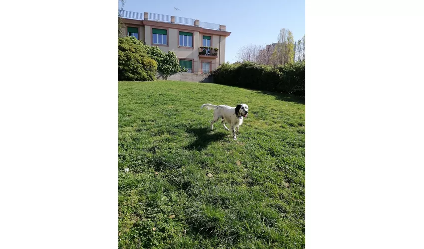 Villa Croce