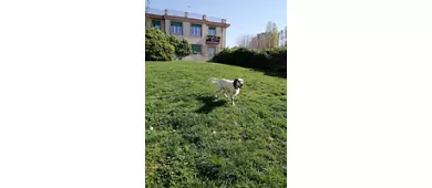 Villa Croce
