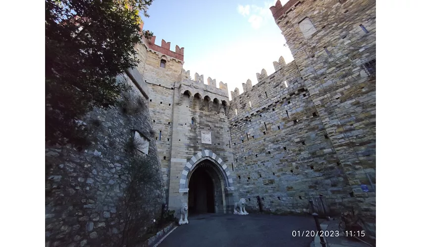 Château D'Albertis