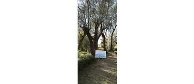 Fondazione Pompeo Mariani