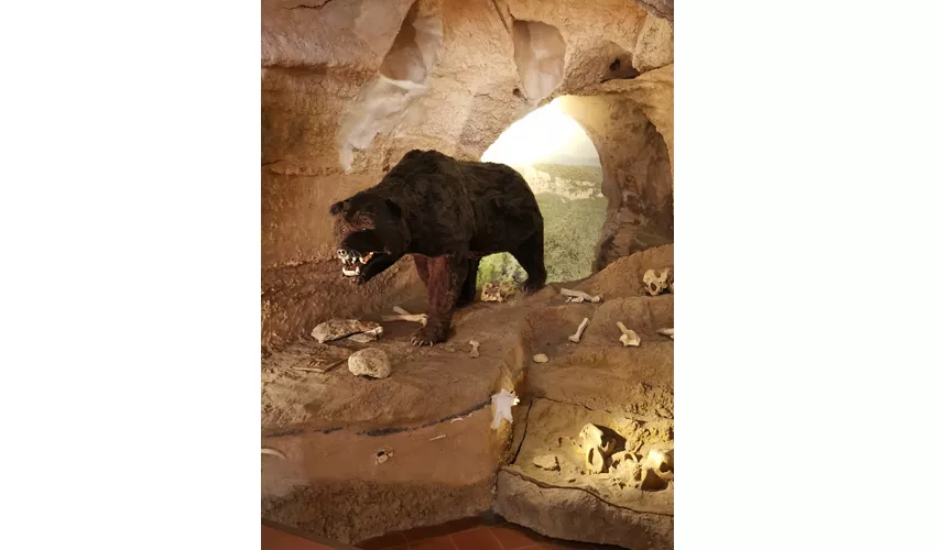 Archäologisches Museum von Finale