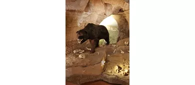 Museu Arqueológico de Finale