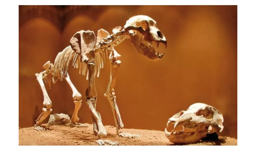 Archäologisches Museum von Finale