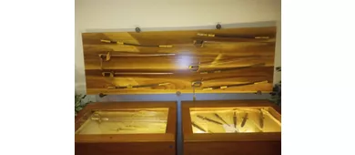 Museo dei Ferri Taglienti