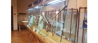 Internationales Zampogna-Museum „P. Vecchione“