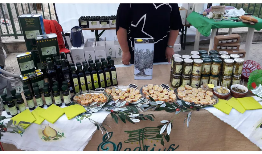 Internationales Zampogna-Museum „P. Vecchione“