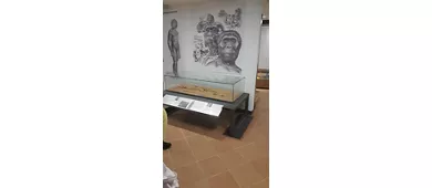 Museo Preistorico