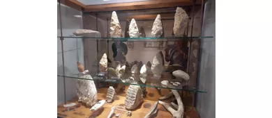Museo Preistorico