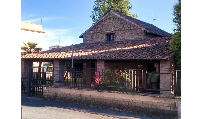 Antiquarium comunale - Procoio
