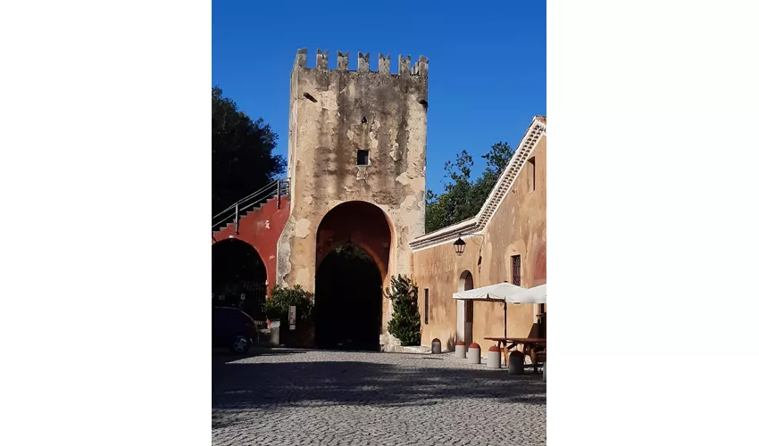 Museo Medievale di Fossanova